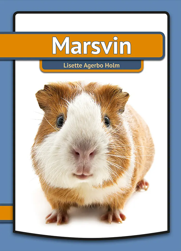 Marsvin af Lisette Agerbo Holm
