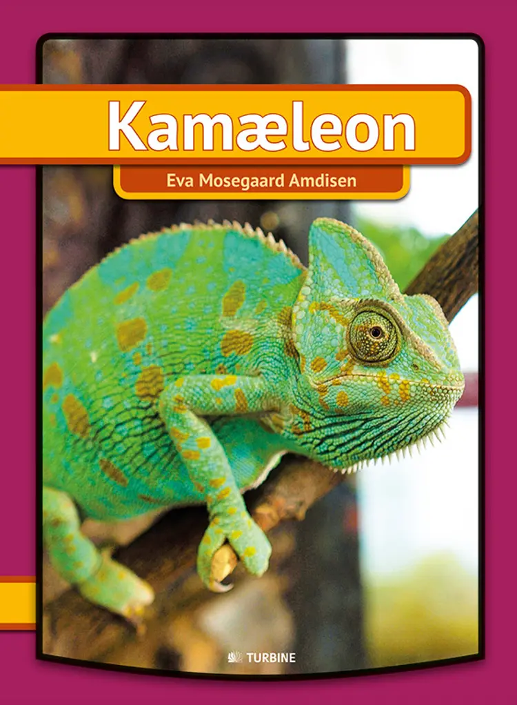 Kamæleon af Eva Mosegaard Amdisen
