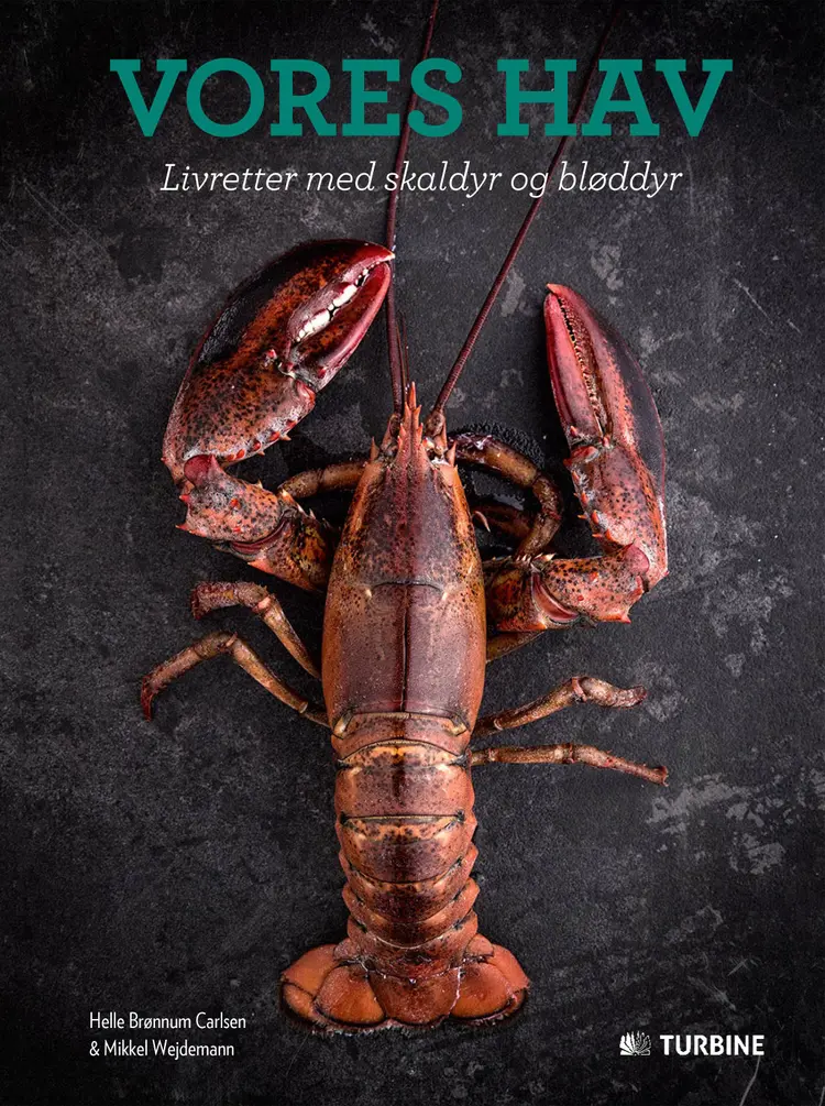 Vores hav af Helle Brønnum Carlsen