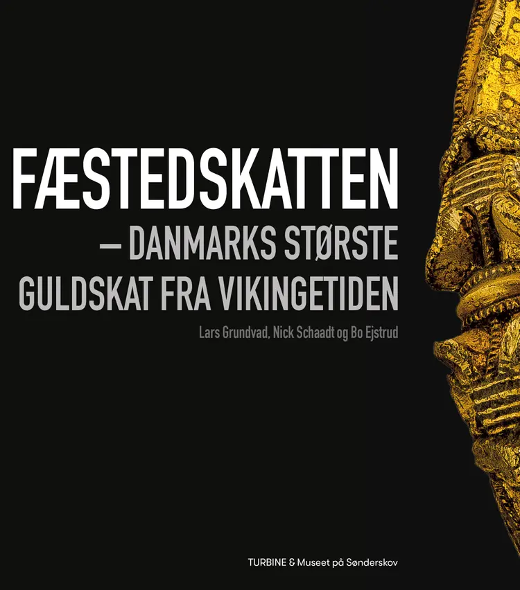 Fæstedskatten af Bo Ejstrud