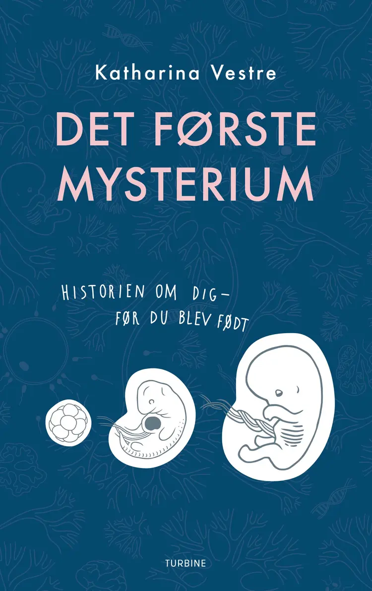 Det første mysterium af Katharina Vestre
