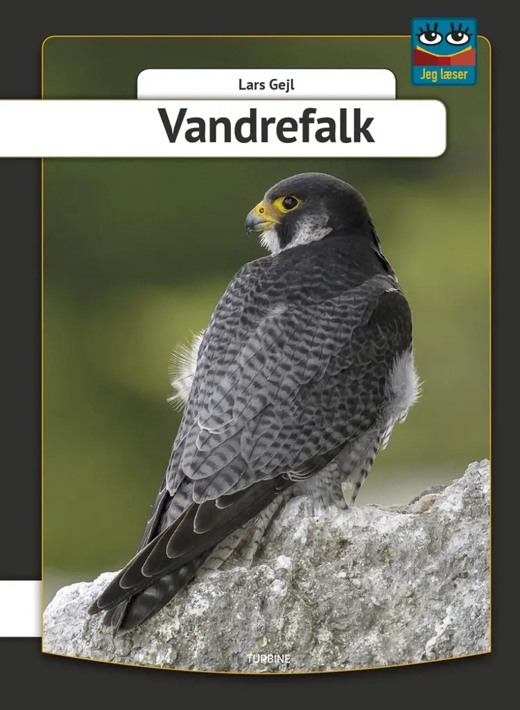 Vandrefalk af Lars Gejl