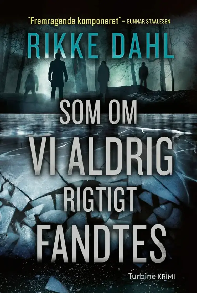 Som om vi aldrig rigtigt fandtes af Rikke Dahl