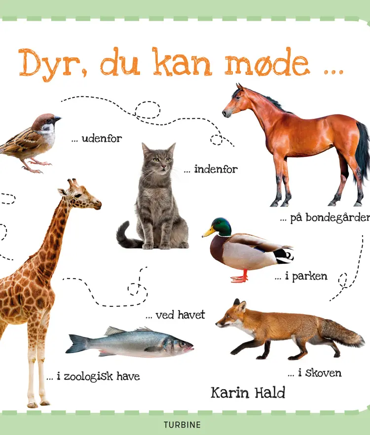 Dyr, du kan møde af Karin Hald