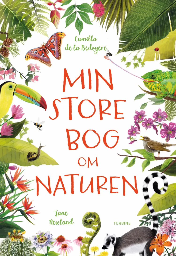 Min store bog om naturen af Camilla de la Bedoyere