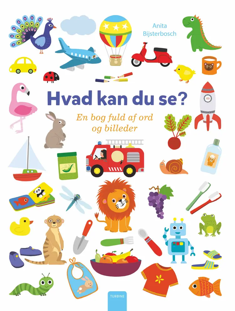 Hvad kan du se? af Anita Bijsterbosch
