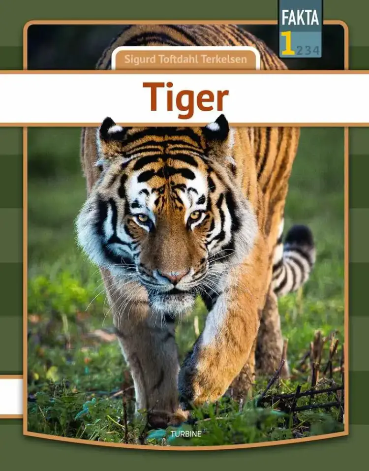Tiger af Sigurd Toftdahl Terkelsen