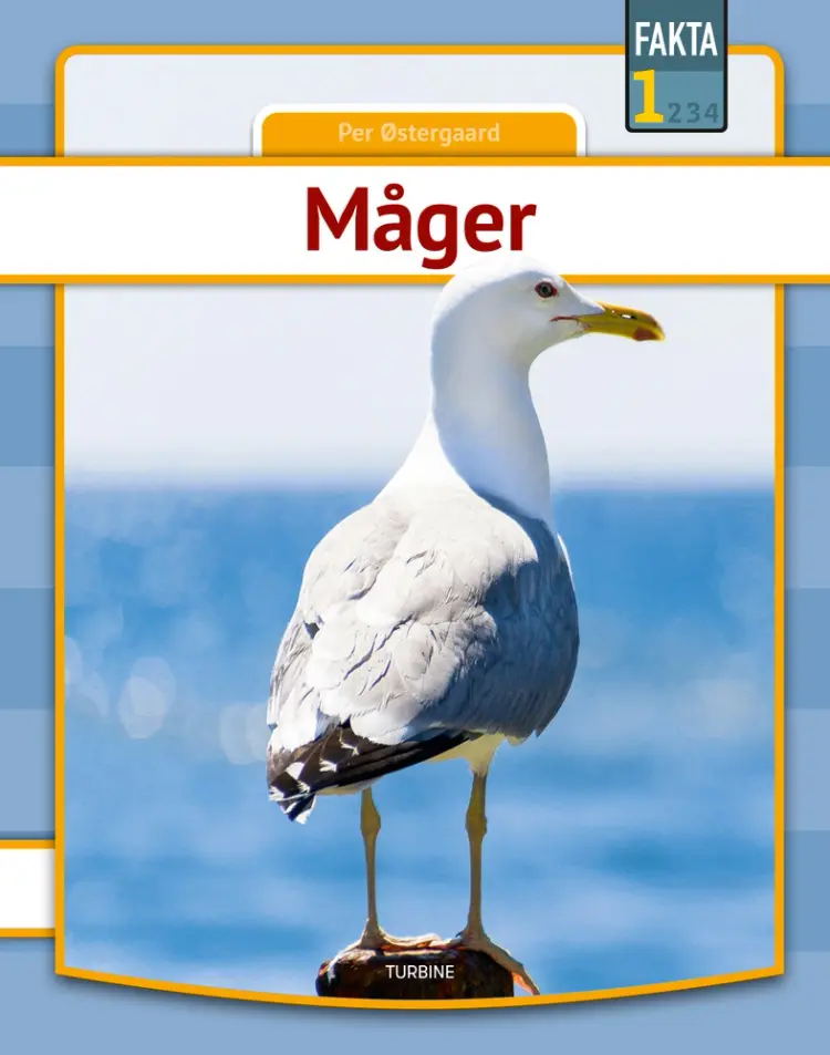 Måger af Per Østergaard