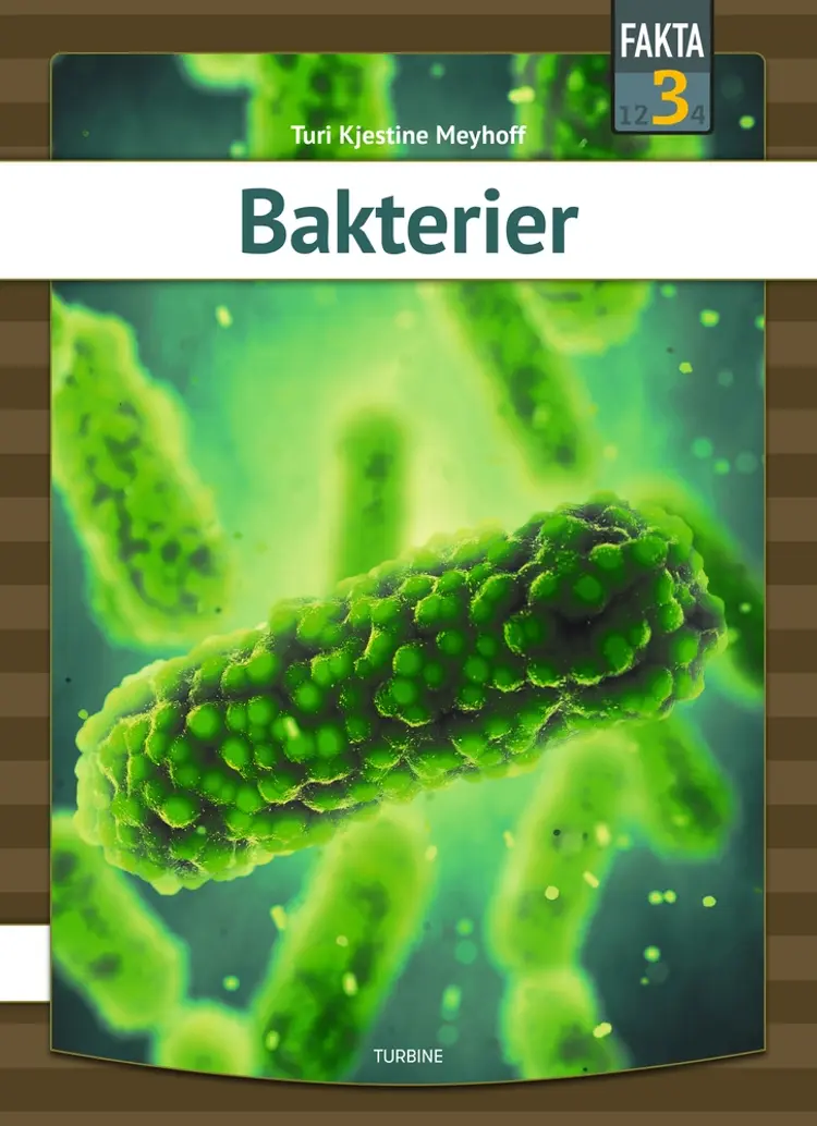 Bakterier af Turi Kjestine Meyhoff