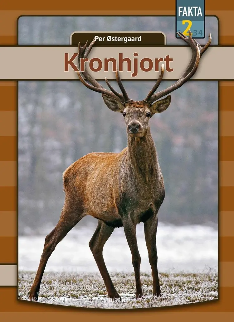 Kronhjort af Per Østergaard
