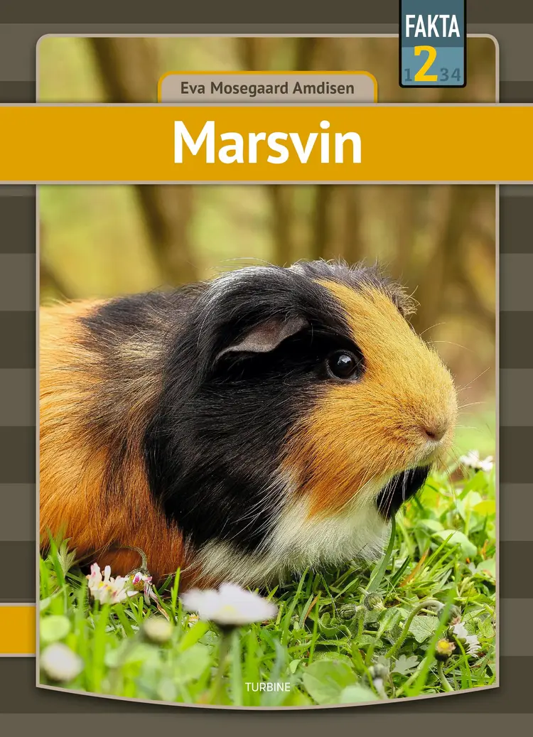 Marsvin af Eva Mosegaard Amdisen