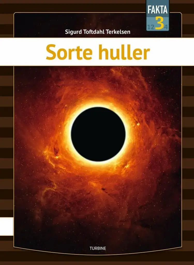 Sorte huller af Sigurd Toftdahl Terkelsen