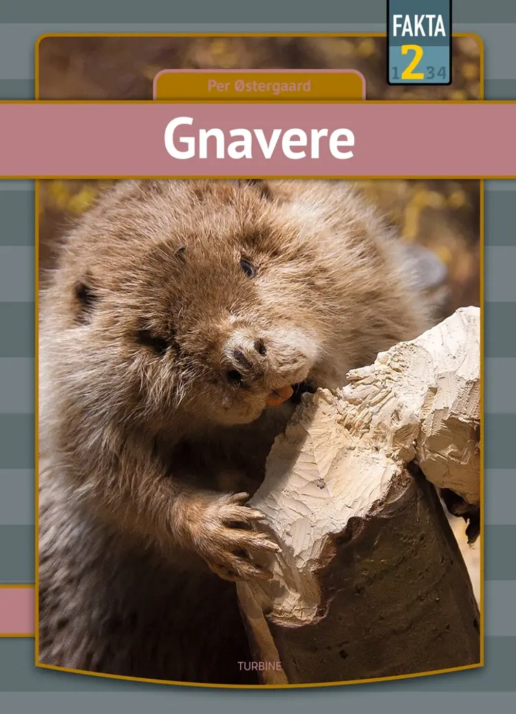 Gnavere af Per Østergaar