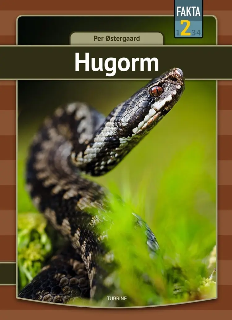 Hugorm af Per Østergaard