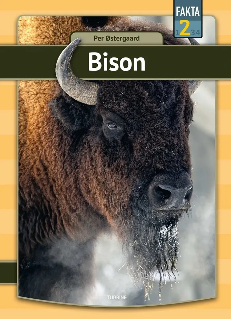 Bison af Per Østergaard