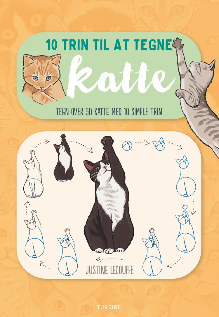 10 trin til at tegne katte af Justine Lecouffe