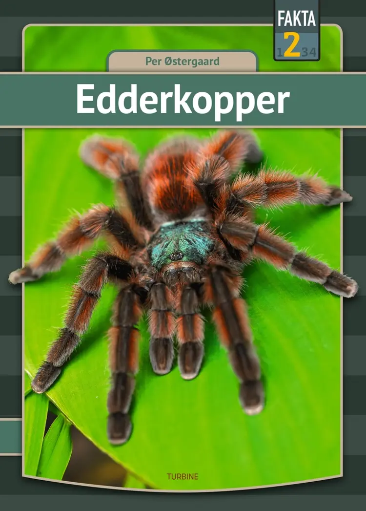 Edderkopper af Per Østergaard