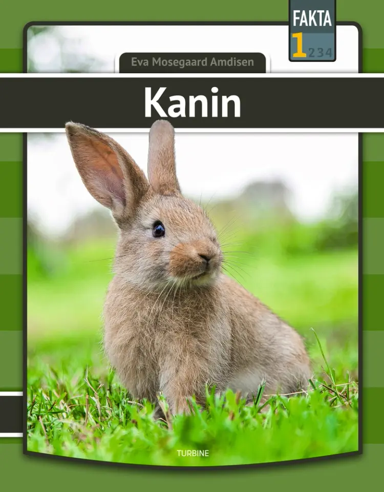 Kanin af Eva Mosegaard Amdisen