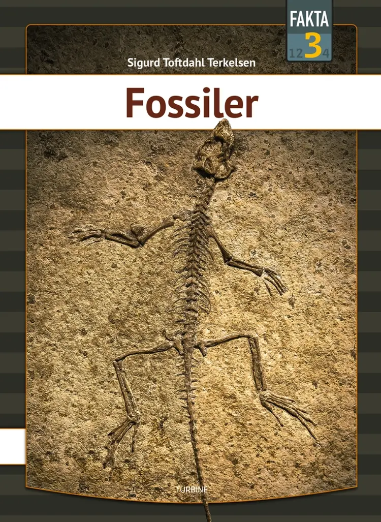 Fossiler af Sigurd Toftdahl Terkelsen