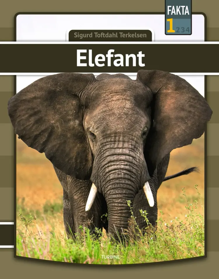 Elefant af Sigurd Toftdahl Terkelsen