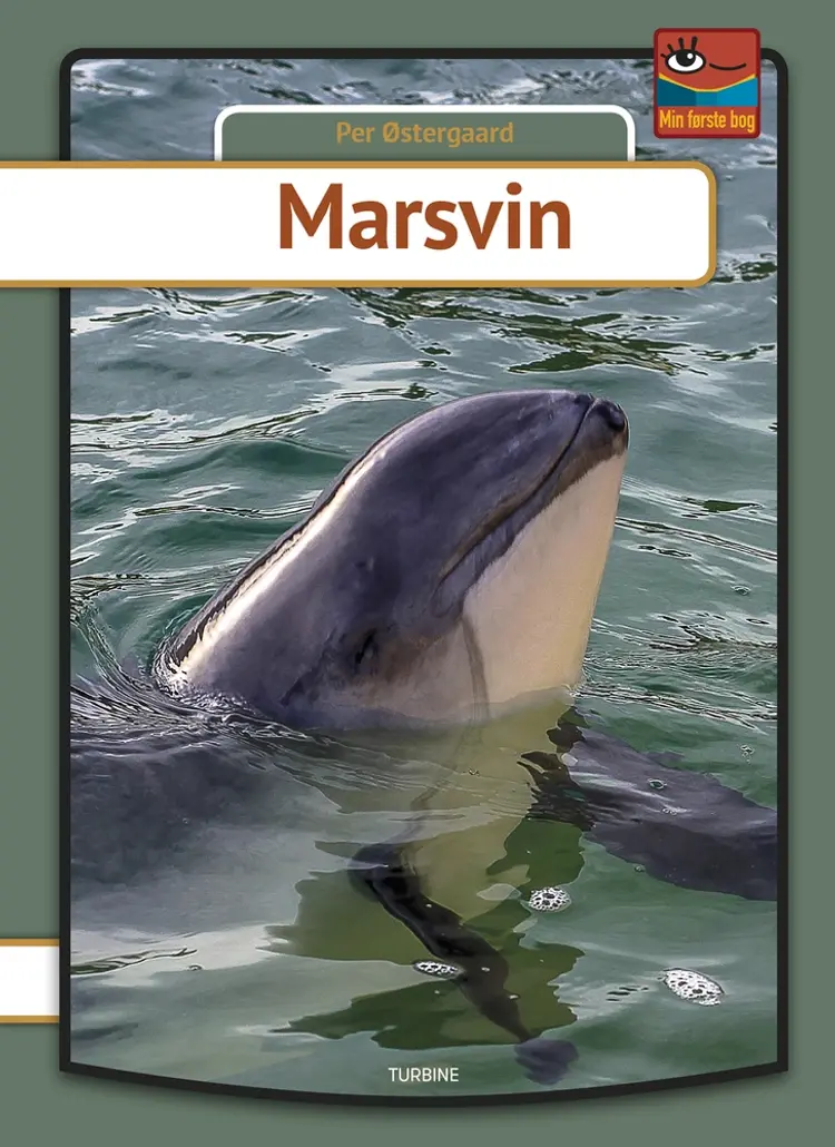 Marsvin af Per Østergaard