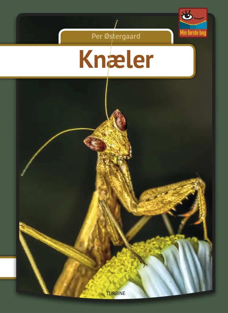 Knæler af Per Østergaard