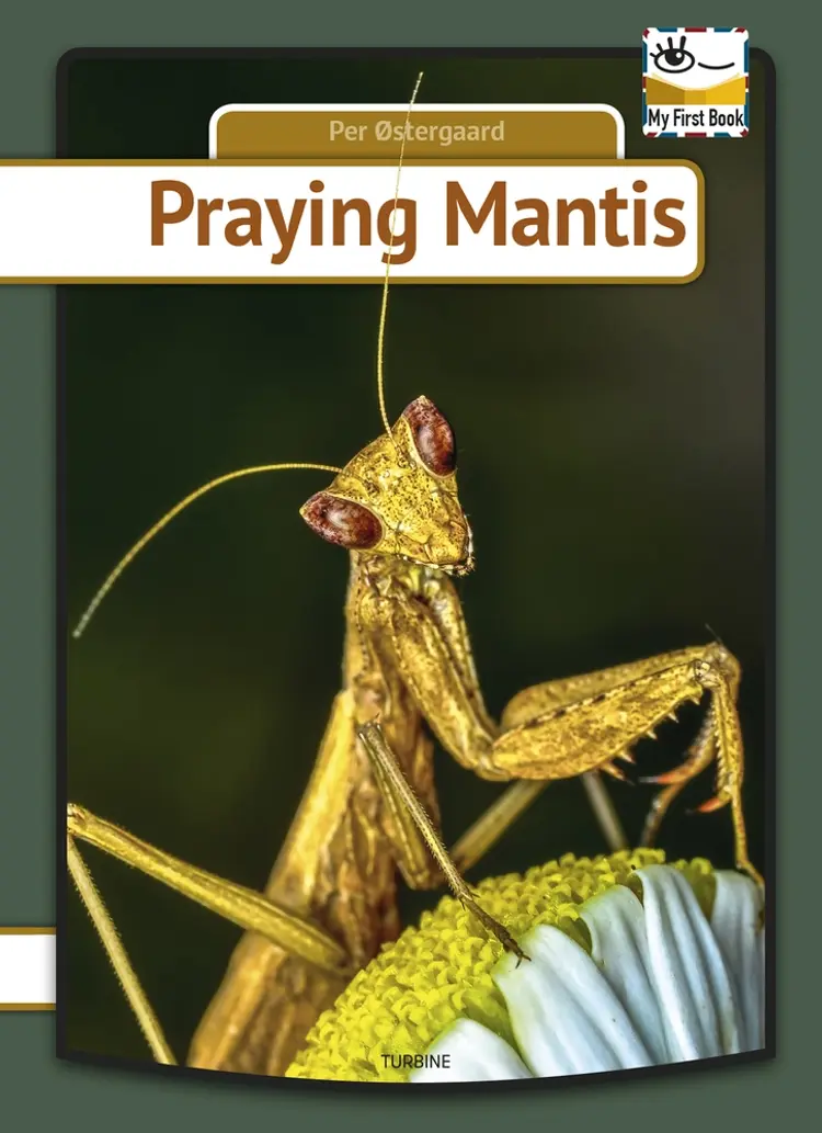 Praying mantis af Per Østergaard
