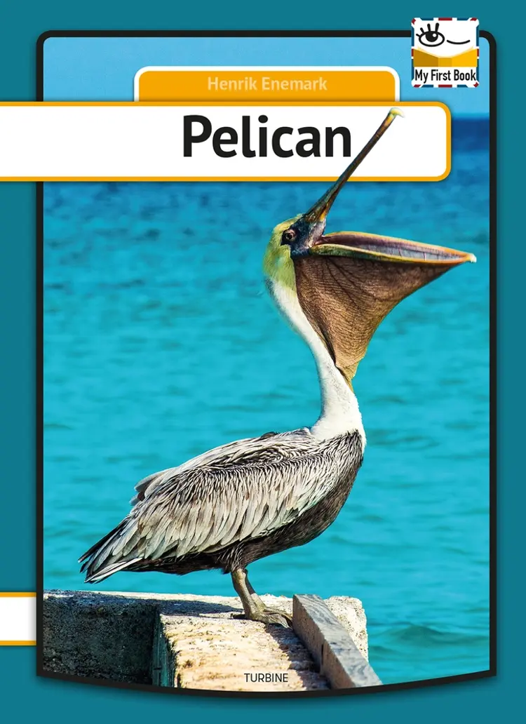 Pelican af Henrik Enemark
