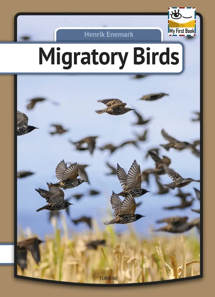 Migratory birds af Henrik Enemark