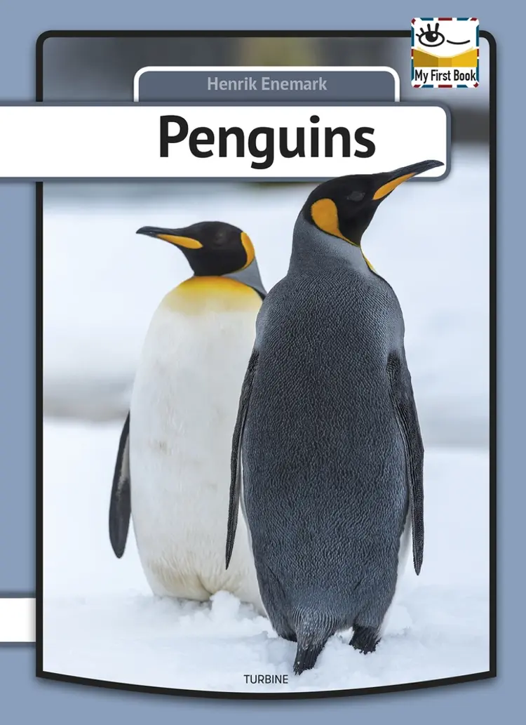 Penguins af Henrik Enemark