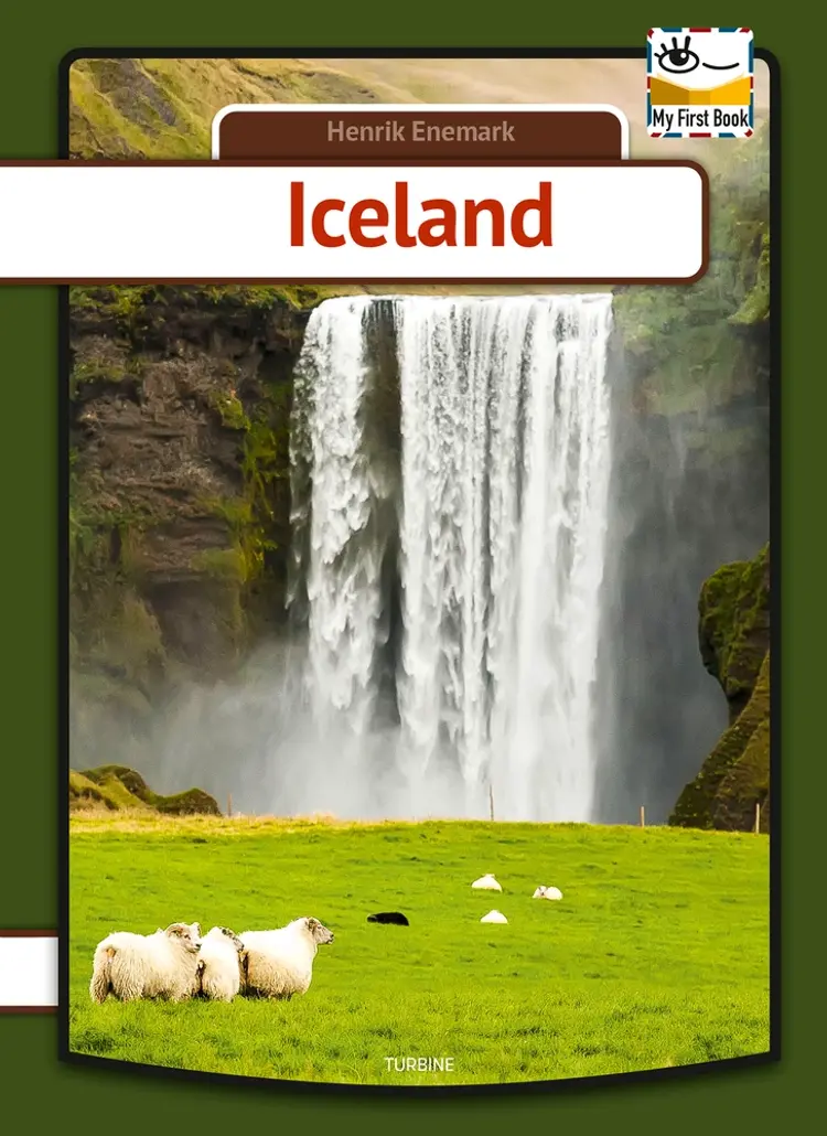 Iceland af Henrik Enemark