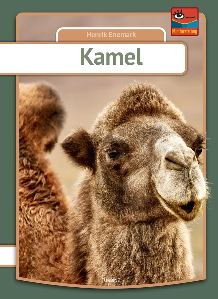 Kamel af Henrik Enemark