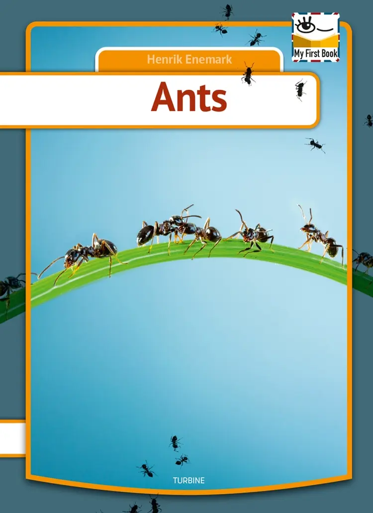 Ants af Henrik Enemark