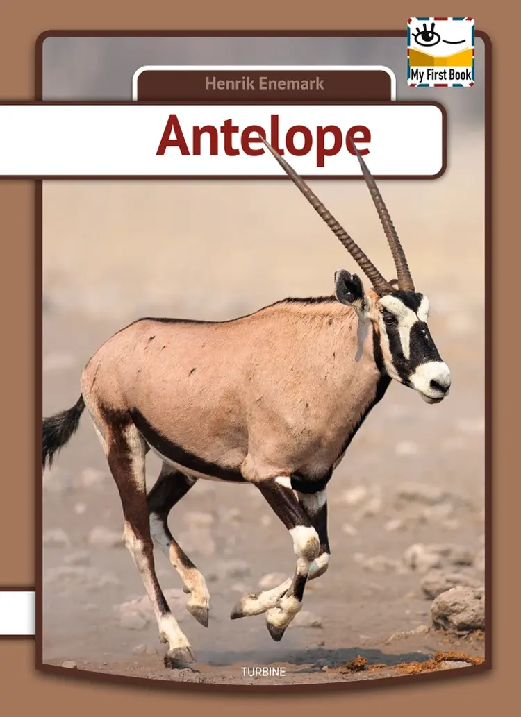 Antelope af Henrik Enemark