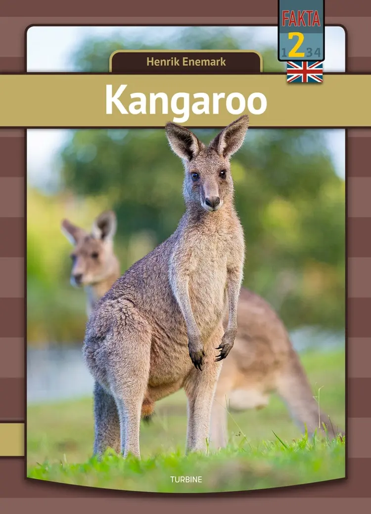 Kangaroo af Henrik Enemark