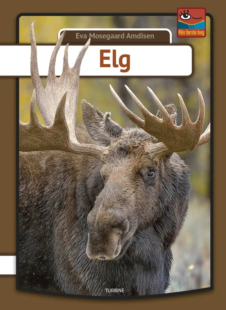 Elg af Eva Mosegaard Amdisen