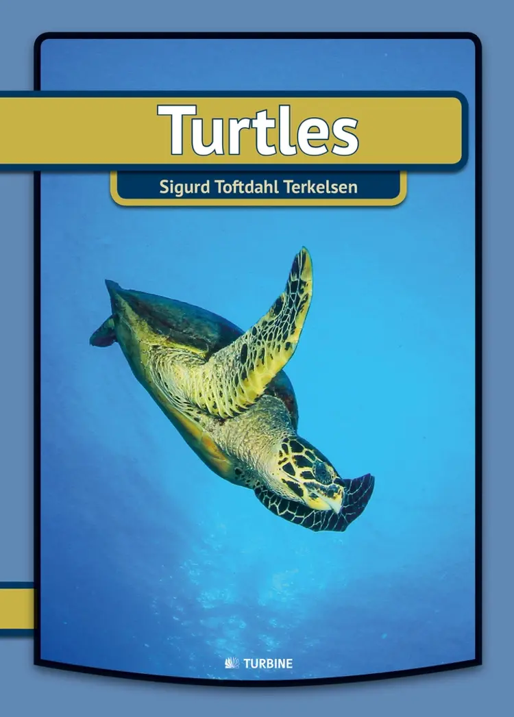 Turtles af Sigurd Toftdahl Terkelsen