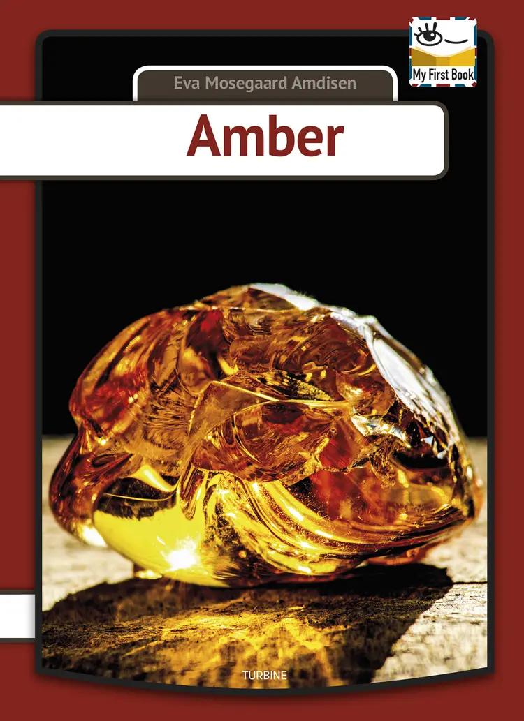 Amber af Eva Mosegaard Amdisen