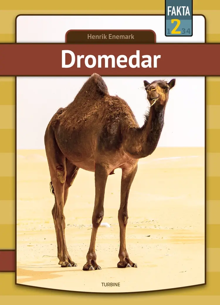 Dromedar af Henrik Enemark