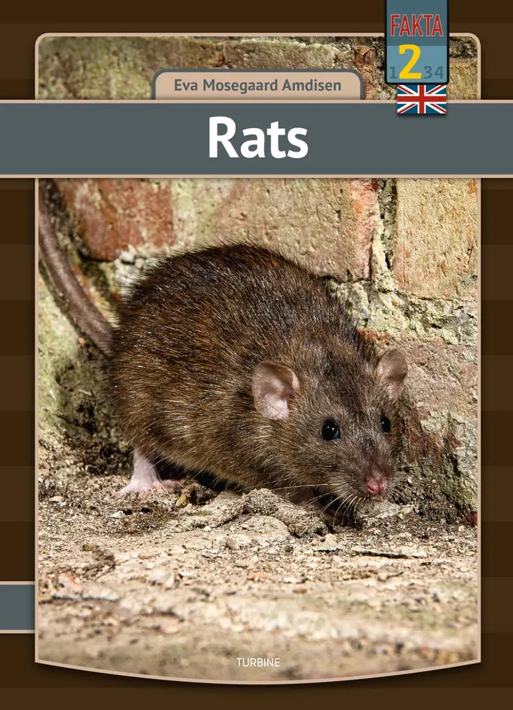 Rats af Eva Mosegaard Amdisen