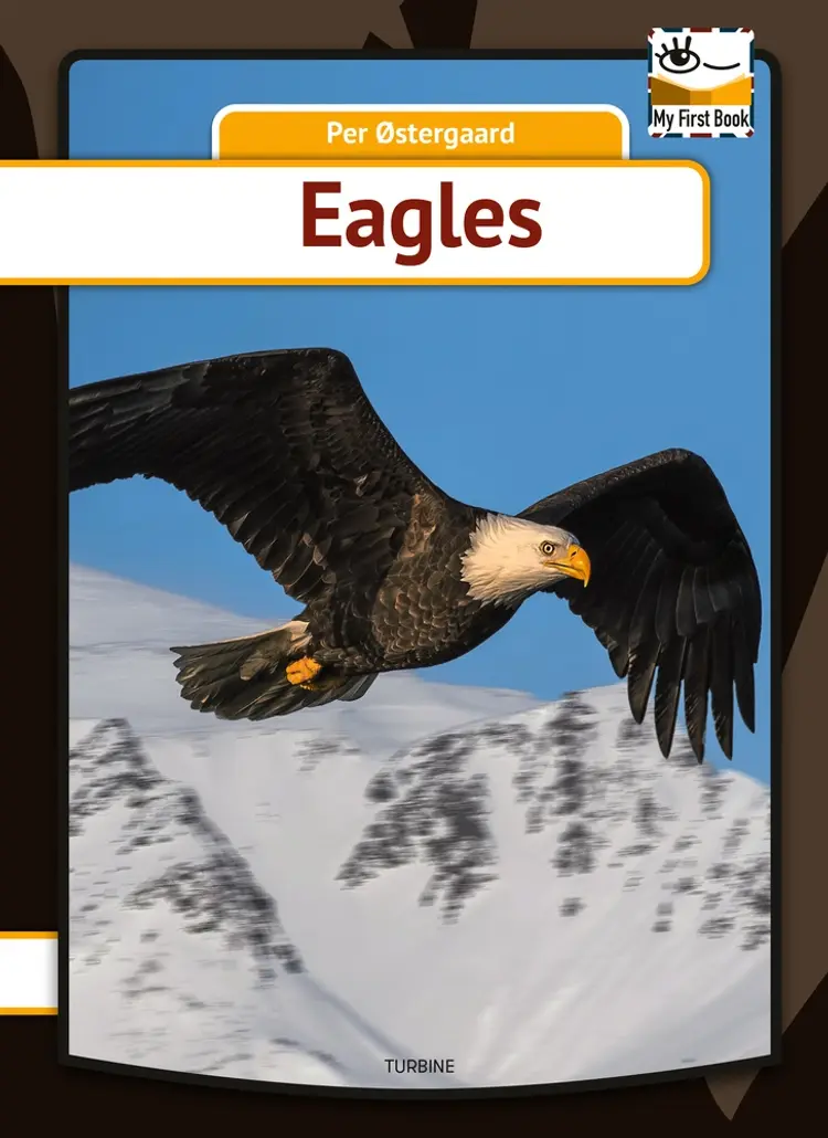 Eagles af Per Østergaard