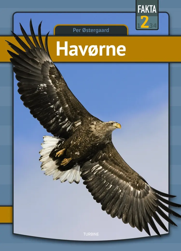 Havørne af Per Østergaard