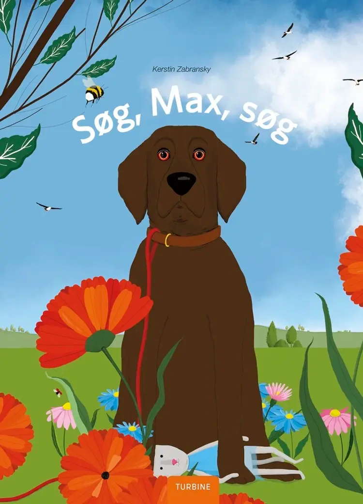 Søg, Max, søg af Kerstin Zabransky