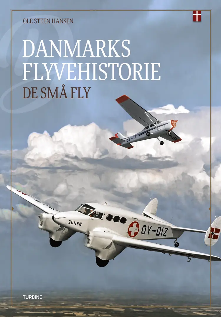 De små fly af Ole Steen Hansen