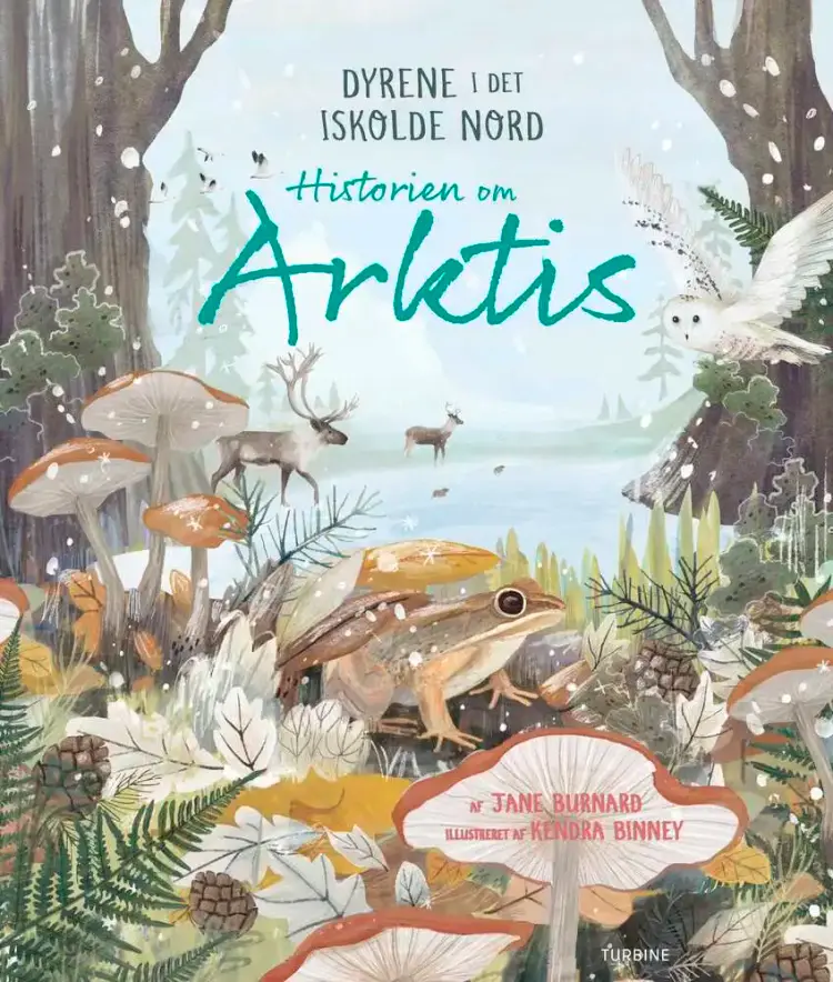 Historien om Arktis af Jane Burnard