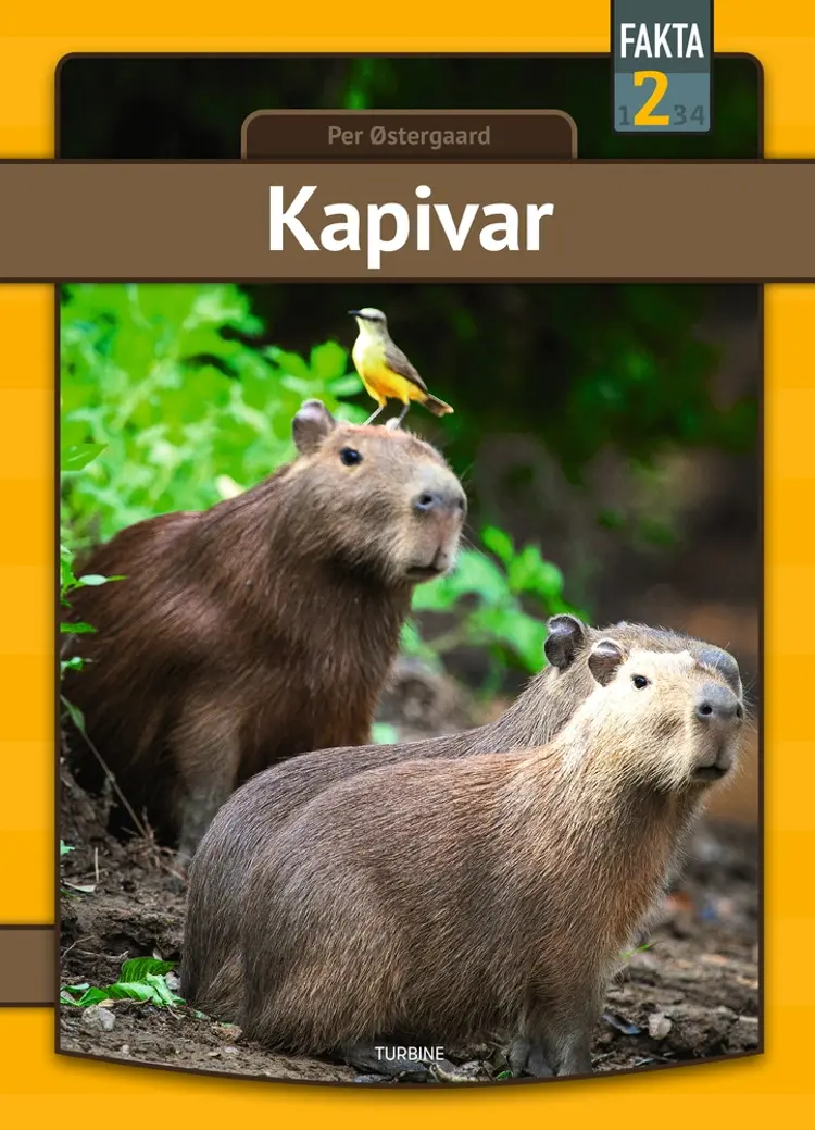 Kapivar af Per Østergaard