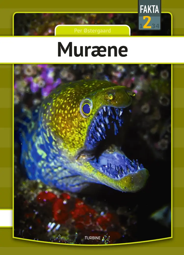 Muræne af Per Østergaard
