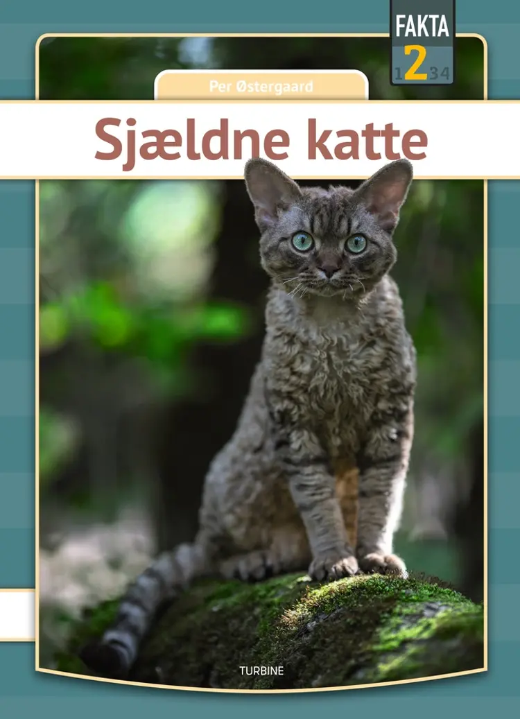 Sjældne katte af Per Østergaard