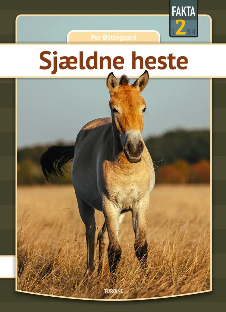 Sjældne heste af Per Østergaard