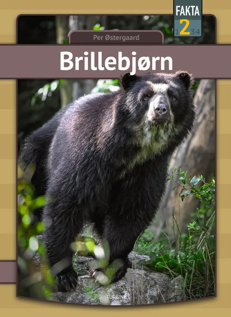 Brillebjørn af Per Østergaard